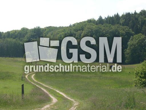 Weide 2.jpg